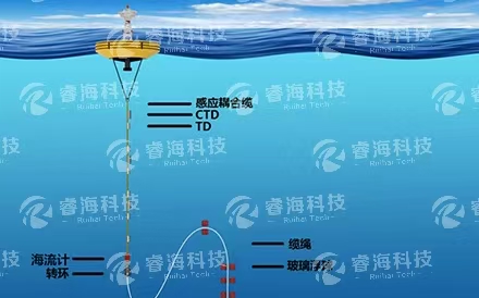 浮潛標(biāo)觀測系統(tǒng)