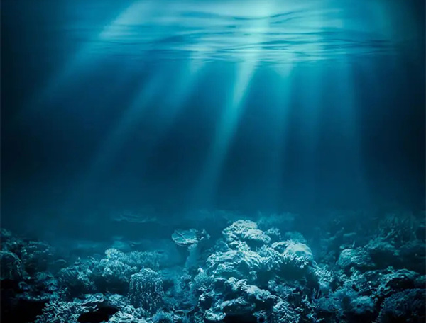 海洋水質 海洋水質