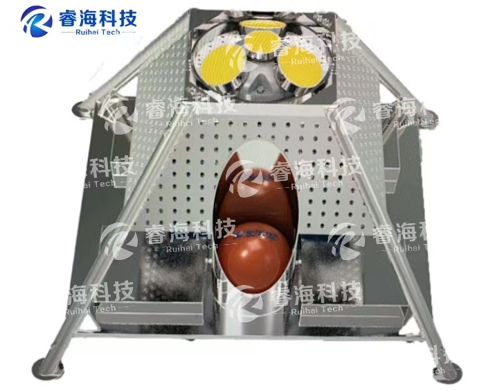 微信圖片_20250225175530.jpg 微信圖片_20250225175530.jpg